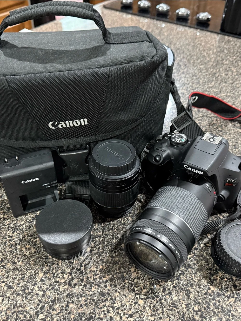 Canon EOS Rebel T7 DSLR Camera Kit in Black with Accessories